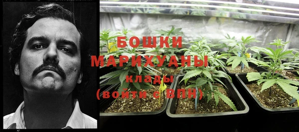 2c-b Балабаново