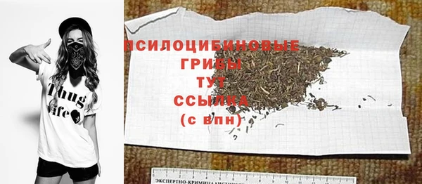 молекула духа Балахна