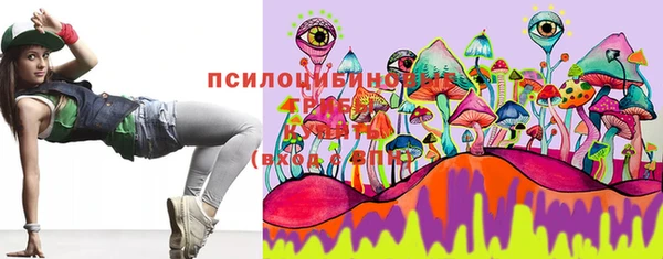 молекула духа Балахна