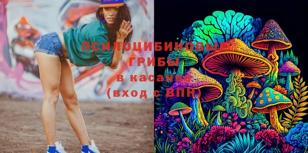 молекула духа Балахна